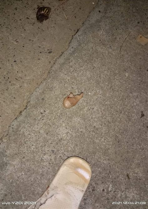 Someones Nasty Ass Flip Flop R HolUp