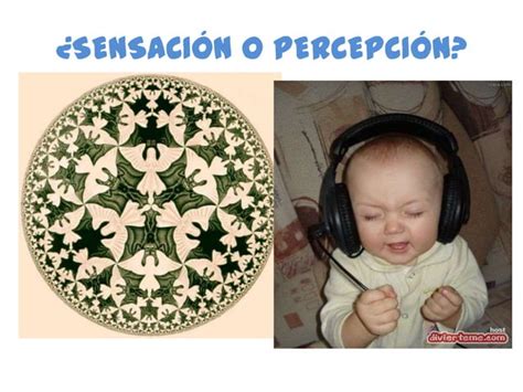 Principios De Percepción Ppt