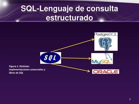 Qué Es Sql Structured Query Language O Lenguaje De Consultas Hot Sex