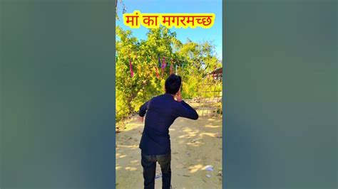 😂😂पापा कि परी मां का मगरमच्छ Viral Video Surajroxfunnyvibeo Realfools Shortsvideo