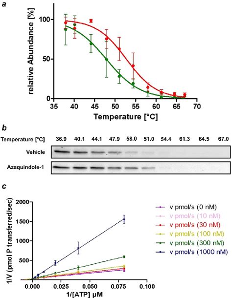 A Cellular Thermal Shift Assay Cetsa For The Binding Of