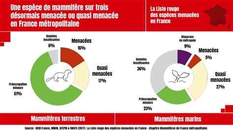 Rep Res Les Six Cat Gories Pour Classer Les Esp Ces Dans La Liste Rouge