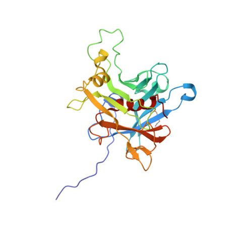 Rcsb Pdb S Crystal Structure Analysis Of The Human Tub Protein