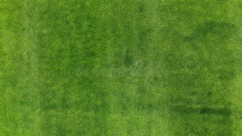 10+ Drone grass texture Free Stock Photos - StockFreeImages