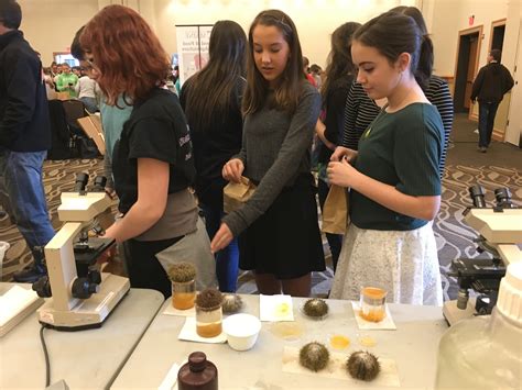 CCAR joins the 3rd annual Maine Science Festival! - Center for