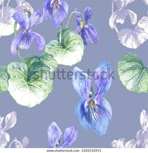 Violet Flowers Pencil Drawing On Grey Stock Illustration 2202510951 ...