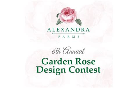 The Sixth Annual Alexandra Farms Garden Rose Design Contest Is Now Open