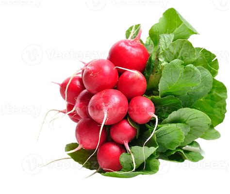 Radish Png Transparent Background 29719942 Png