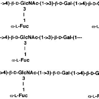 Structure Of The LPS O Antigen Of H Pylori Top Strain NCTC 11637