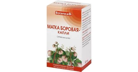 Боровая матка – цена, наличие в 3839 аптеках Украины