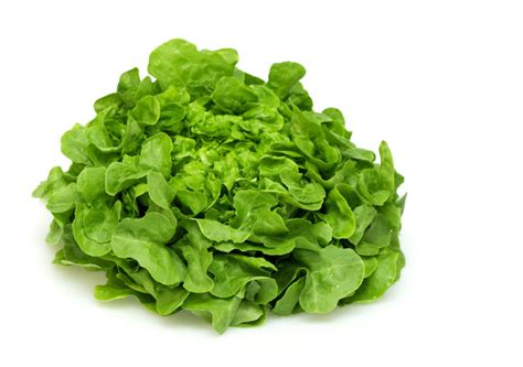 Salade Feuille de chêne blonde Maison Laury