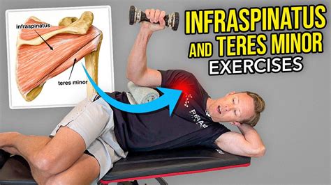 3 Shoulder External Rotator Exercises Infraspinatus And Teres Minor