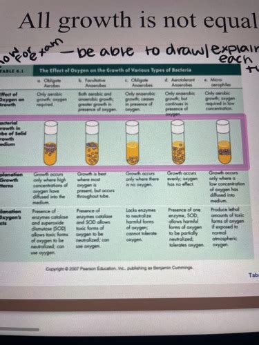 Biol 251 exam 3 Flashcards | Quizlet 