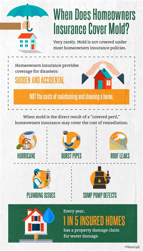 Homeowners Insurance Mold Infographic Homeowners Insurance Homeowner