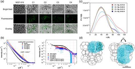 MetalOrganic Frameworks Housing Active Molecules As Bioinspired