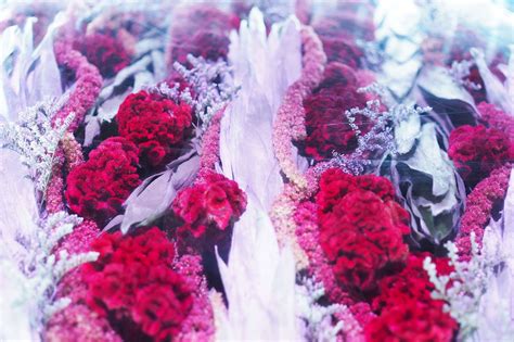 レポート名古屋FLOWERS by NAKED NAGOYAは写真を撮るのが楽しすぎる ぐるぐる名古屋