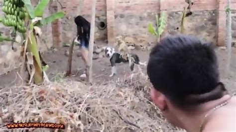 Latina Milf Gets Fucked Outside