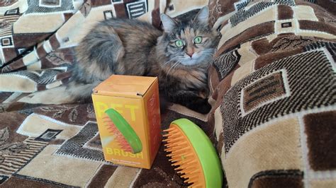 Распаковка и испытание щётка силиконовая для кошек и собак PET BRUSH с ...