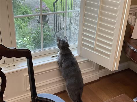 For Talk About Your Eye Health