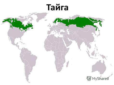 Презентация на тему: "Презентация к уроку по окружающему миру (4 класс ...