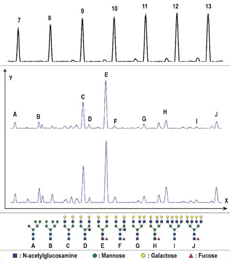 Desialylated Urinary N Glycan Profiles Of Prostate Tissue Specimens