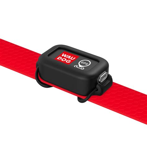 GPS-трекер для тварин WAUDOG DEVICE, 46х30х17 мм – в интернет-магазине ...