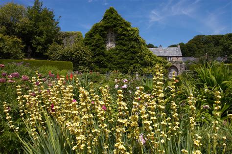 Lanhydrock House Gardens Lanhydrock Cornwall Photography By