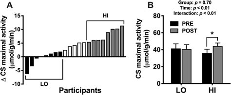 Training Induced Changes In Citrate Synthase Cs Maximal Activity