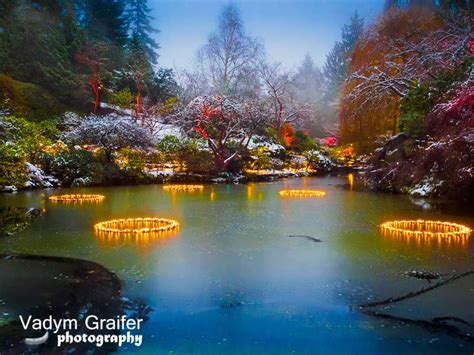 Vadym Graifer's Photography: Snow Day at The Butchart Gardens