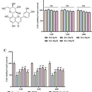 The Cytotoxic Effects Of Ori On NPCs A The Chemical Structure Of Ori