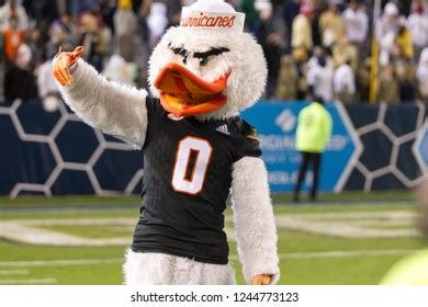 University Miami Mascot November 10th 2018 Stock Photo (Edit Now ...