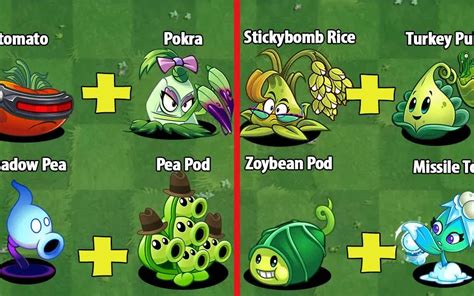 超级植物搭档对抗团队僵尸 Pvz 2 团队植物对抗团队植物 哔哩哔哩