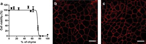 A Cell Viability Of Caco Ht Mtx E Co Culture After H