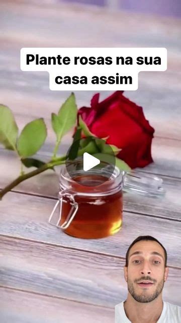 Eduardo Cardoso Utilidades on Instagram Se você gosta de rosas