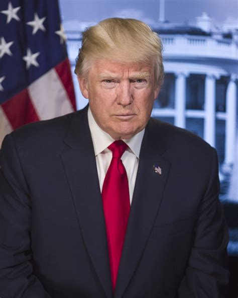 Donald Trump Portraits Of Power