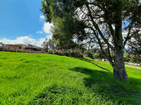 Venta De Lote O Casalote En Alto De Las Palmas Envigado 14778 M3658368