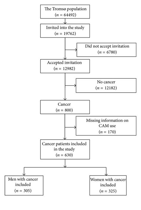 Complementary And Alternative Medicine Use Among Norwegian Cancer Survivors Gender‐specific