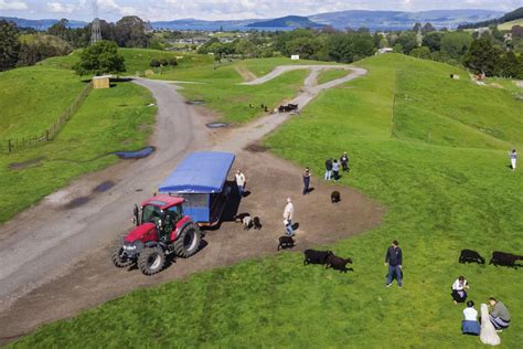 Unique New Zealand Farm Experience Agrodome Rotorua