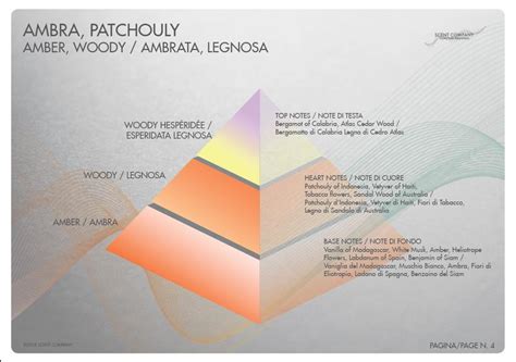 Аромат AMBRA PATCHOULY (АМБРА И ПАЧУЛИ) купить в СПб | LeMa Aroma