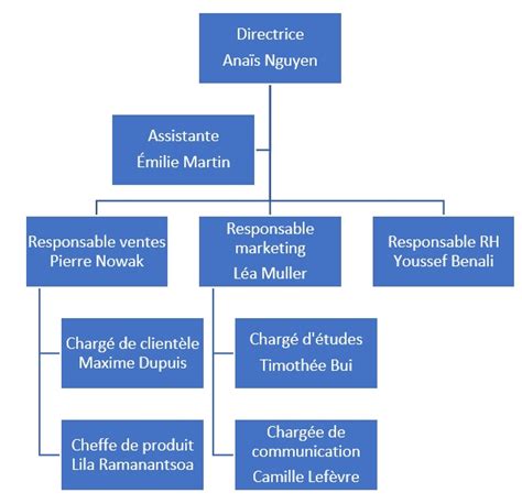 Comment Faire Un Organigramme Sur Word La Pro Du Bureau