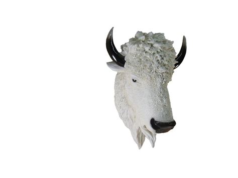 White Buffalo Head Wall Mount - ABC Distributors, Inc.