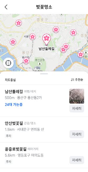 티맵모빌리티 T지금 벚꽃명소 정보 서비스 제공 현대경제신문