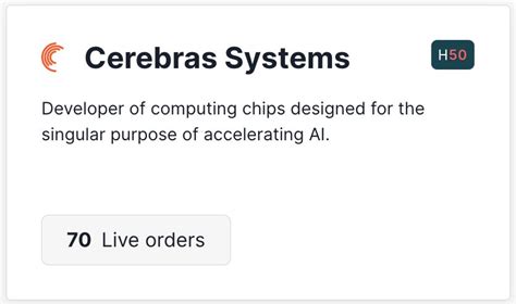 How to Invest in Cerebras Systems Stock in 2024 - Stock Analysis