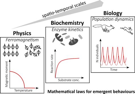 Emergent Properties Across Scales And Disciplines Systems With