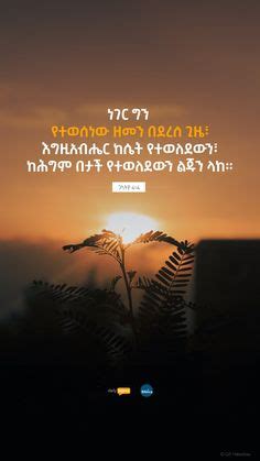 56 Amharic Quotes ideas | ethiopian quotes, quotes, bible quotes