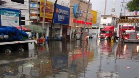 Lluvias en la CDMX dejan 11 árboles caídos y 27 encharcamientos El