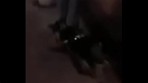 Bogotana Search XVIDEOS