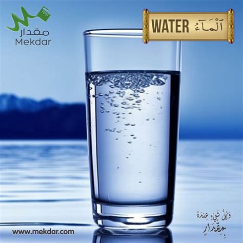 أهمية الماء نظرة شاملة مقدار The Importance Of Water A