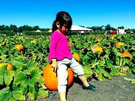 Petaluma, California Attractions and Activities with Kids | Trekaroo