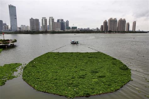 Polluted waters of China